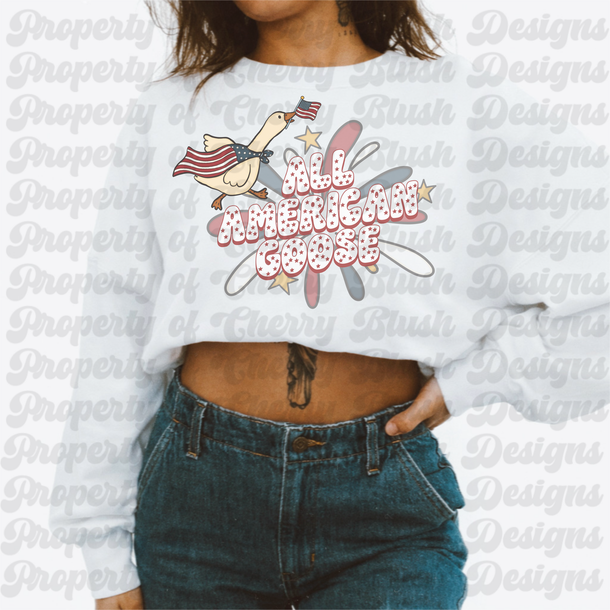 Fireworks All American Goose PNG