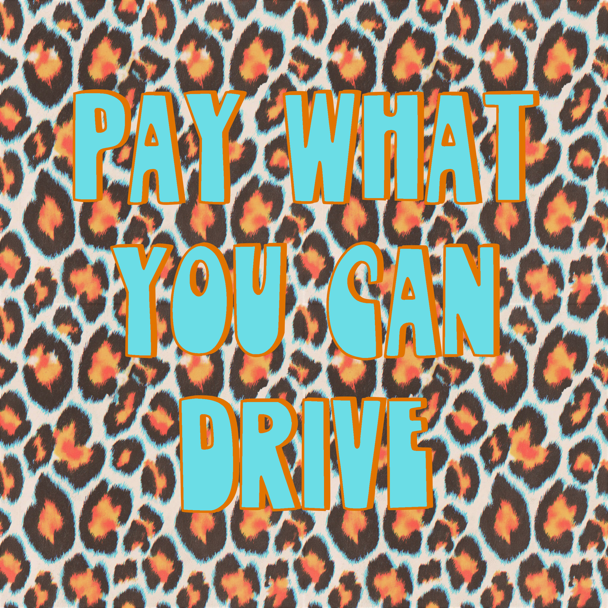🌸 The Pay What You Can Community Drive